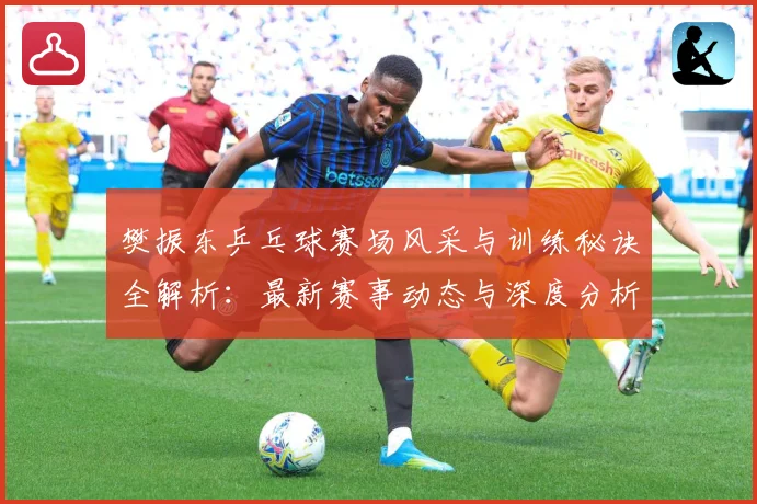 樊振东乒乓球赛场风采与训练秘诀全解析：最新赛事动态与深度分析